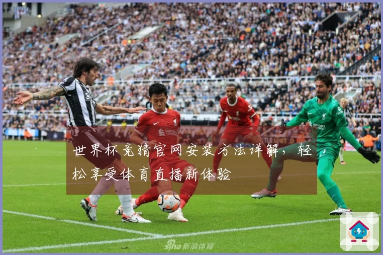 世界杯竞猜官网安装方法详解，轻松享受体育直播新体验