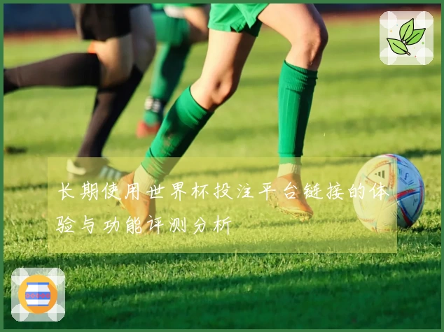 长期使用世界杯投注平台链接的体验与功能评测分析