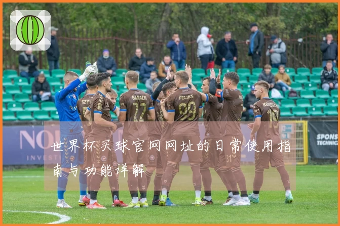 世界杯买球官网网址的日常使用指南与功能详解