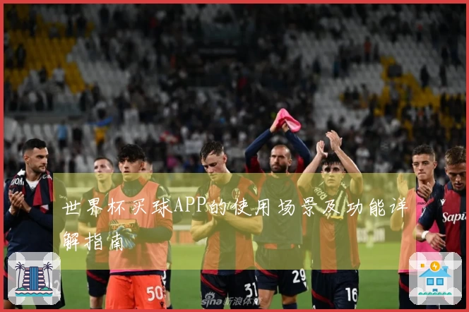 世界杯买球APP的使用场景及功能详解指南