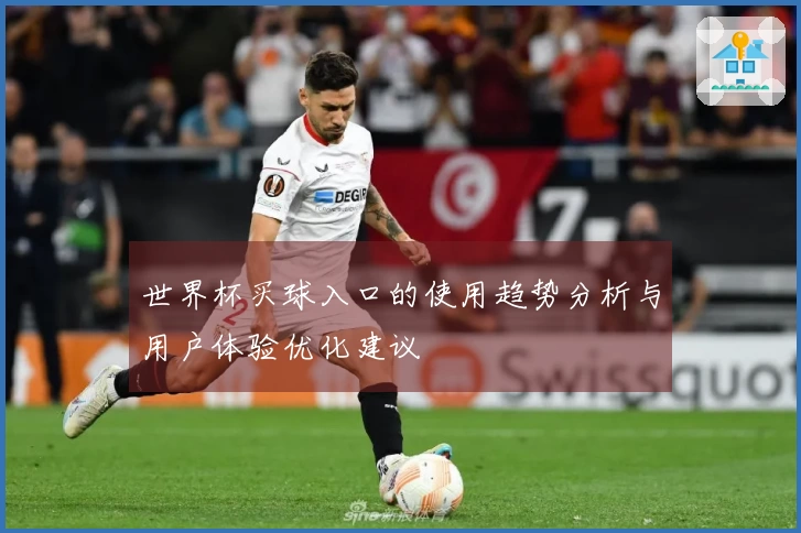 世界杯买球入口的使用趋势分析与用户体验优化建议